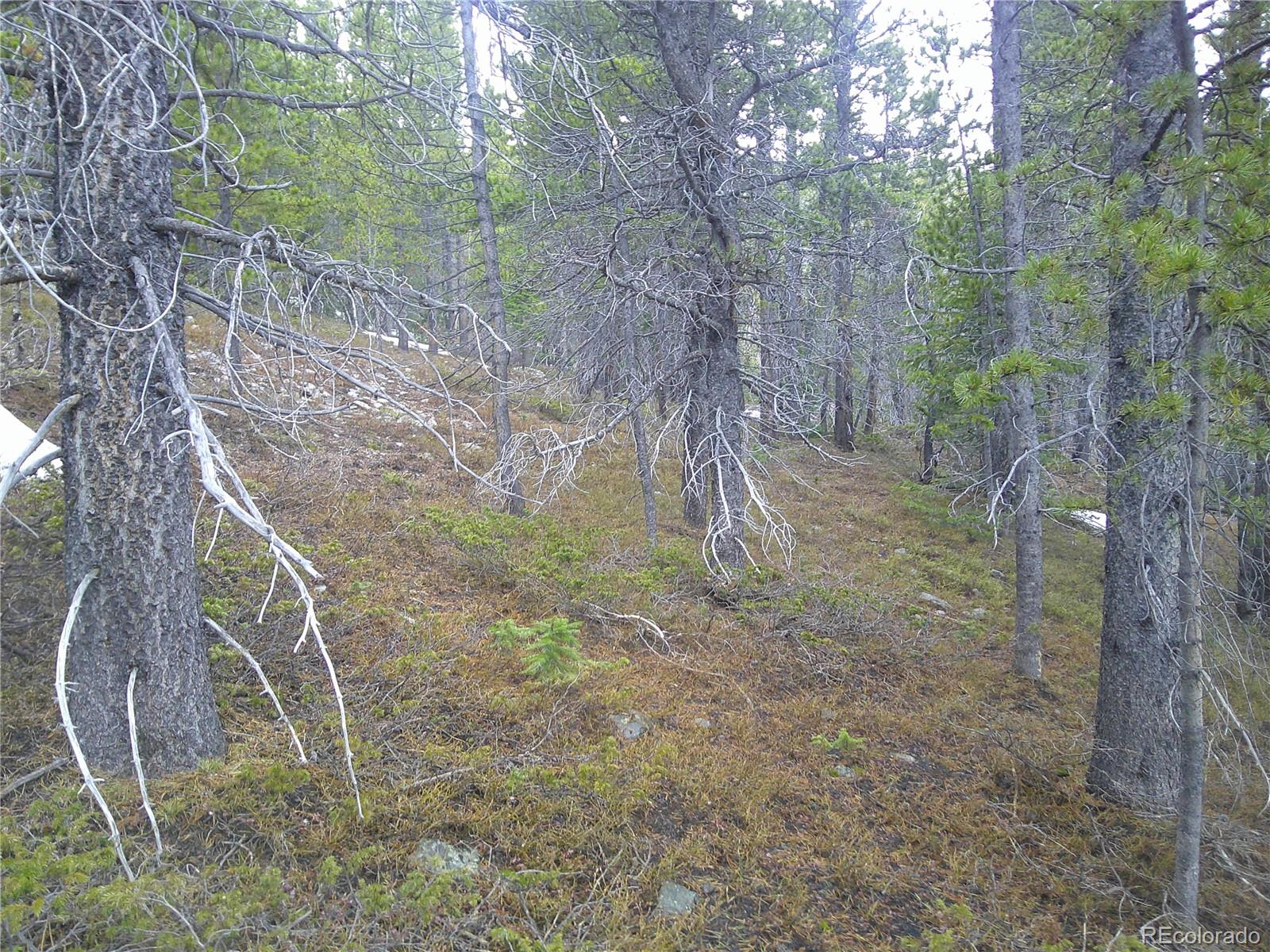 Lot 417 Glory Hole Road Idaho Springs CO 80452