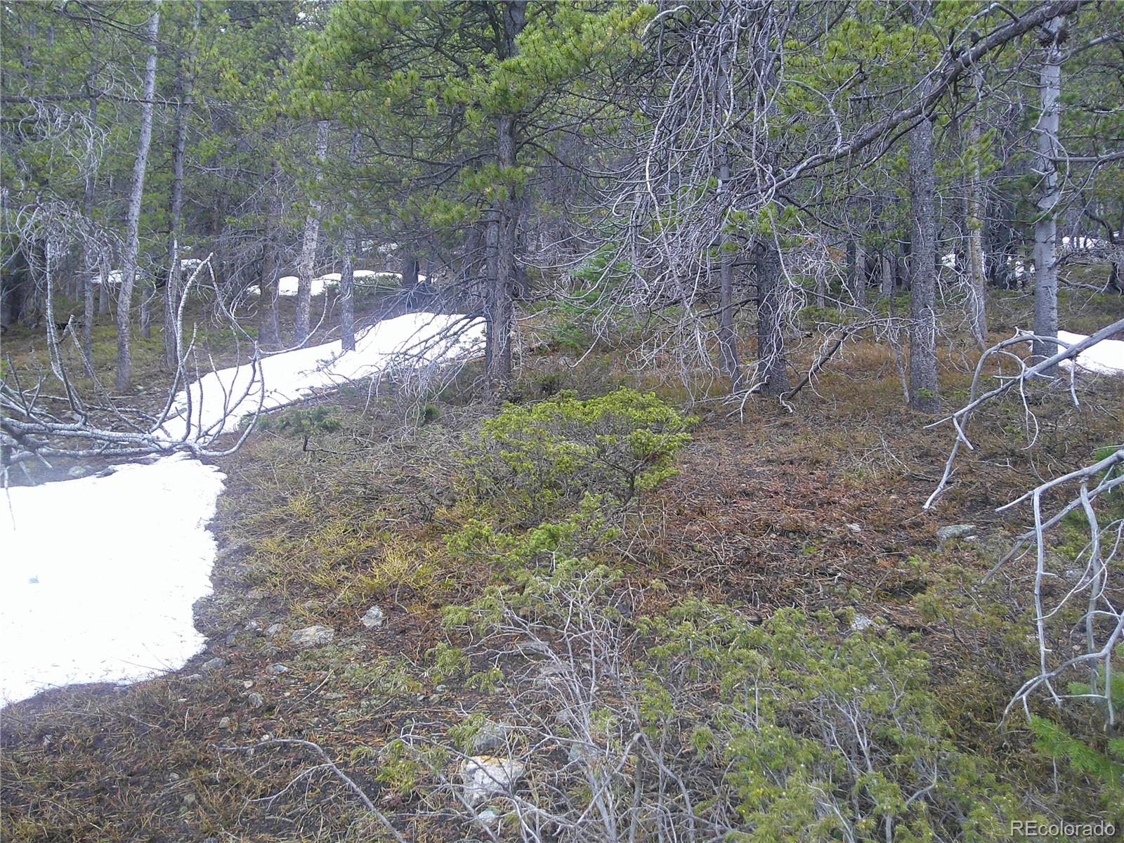 Lot 417 Glory Hole Road Idaho Springs CO 80452