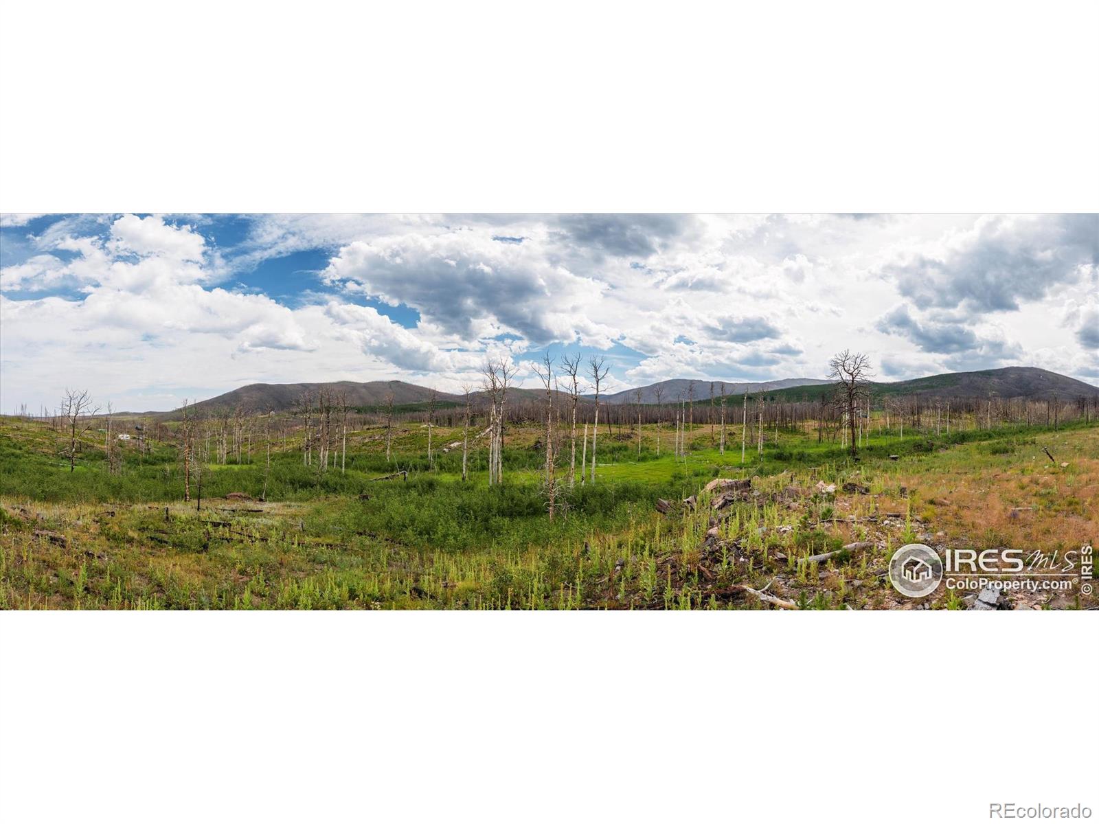 529 Quartz Road Bellvue CO 80512