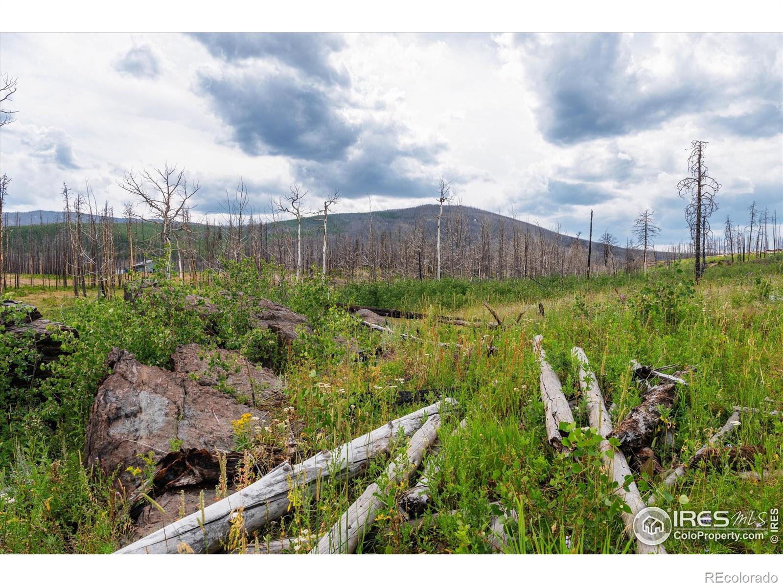 529 Quartz Road Bellvue CO 80512