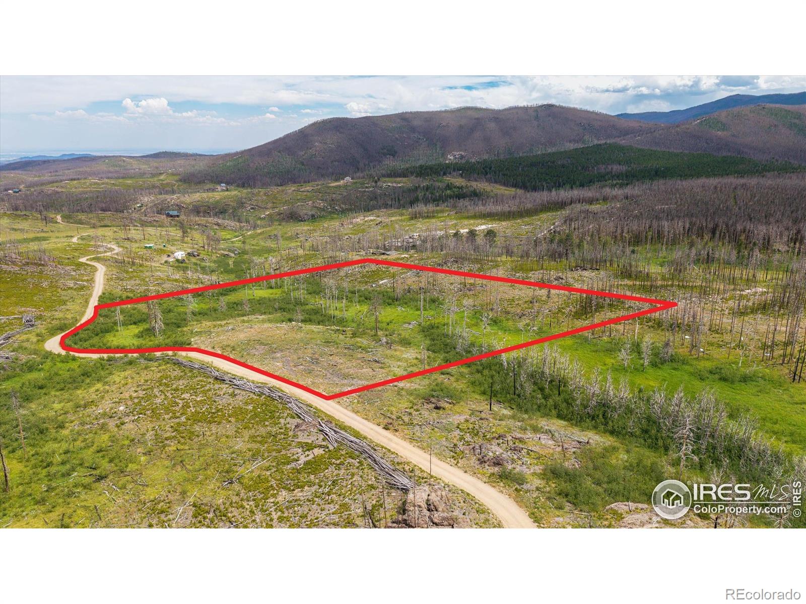 529 Quartz Road Bellvue CO 80512