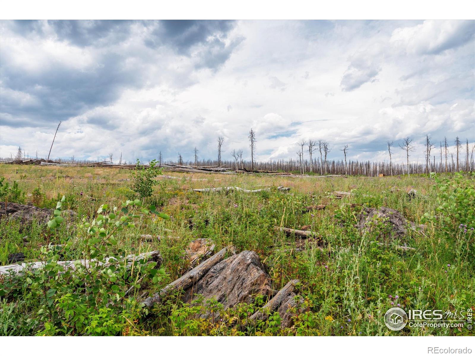 529 Quartz Road Bellvue CO 80512