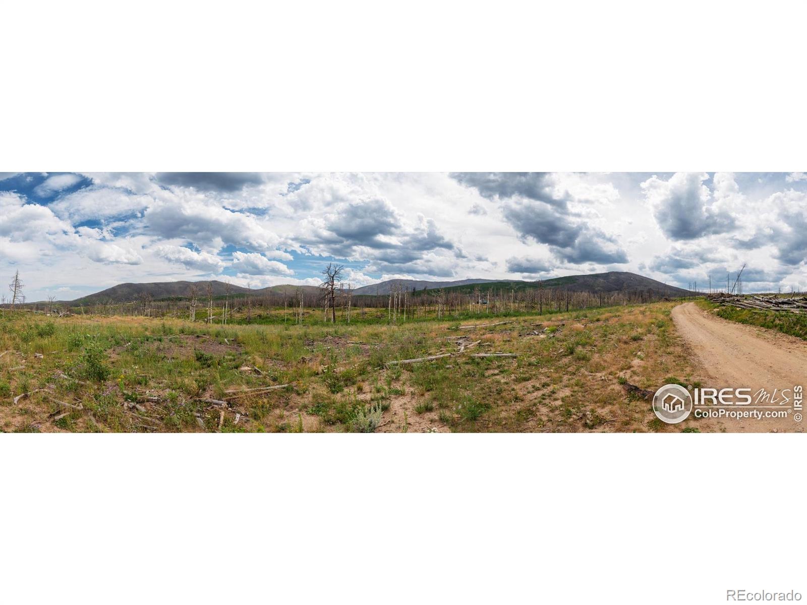 529 Quartz Road Bellvue CO 80512