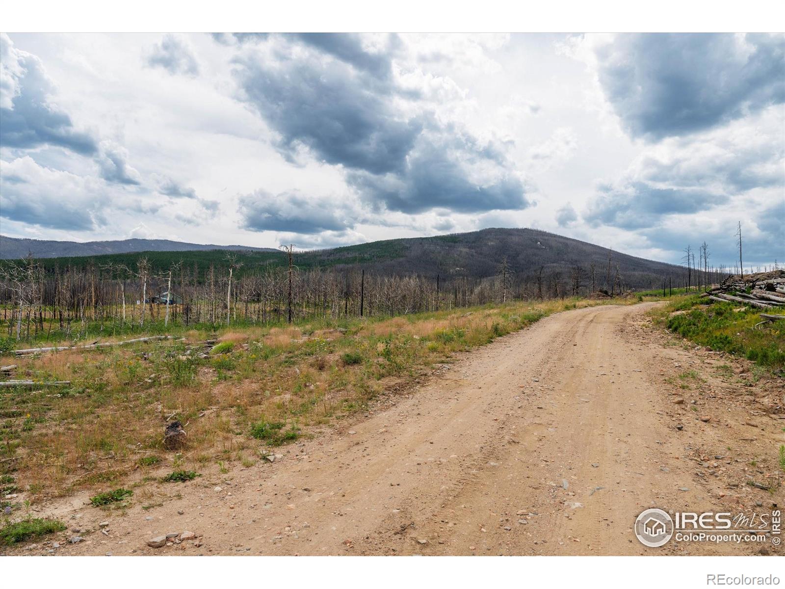 529 Quartz Road Bellvue CO 80512
