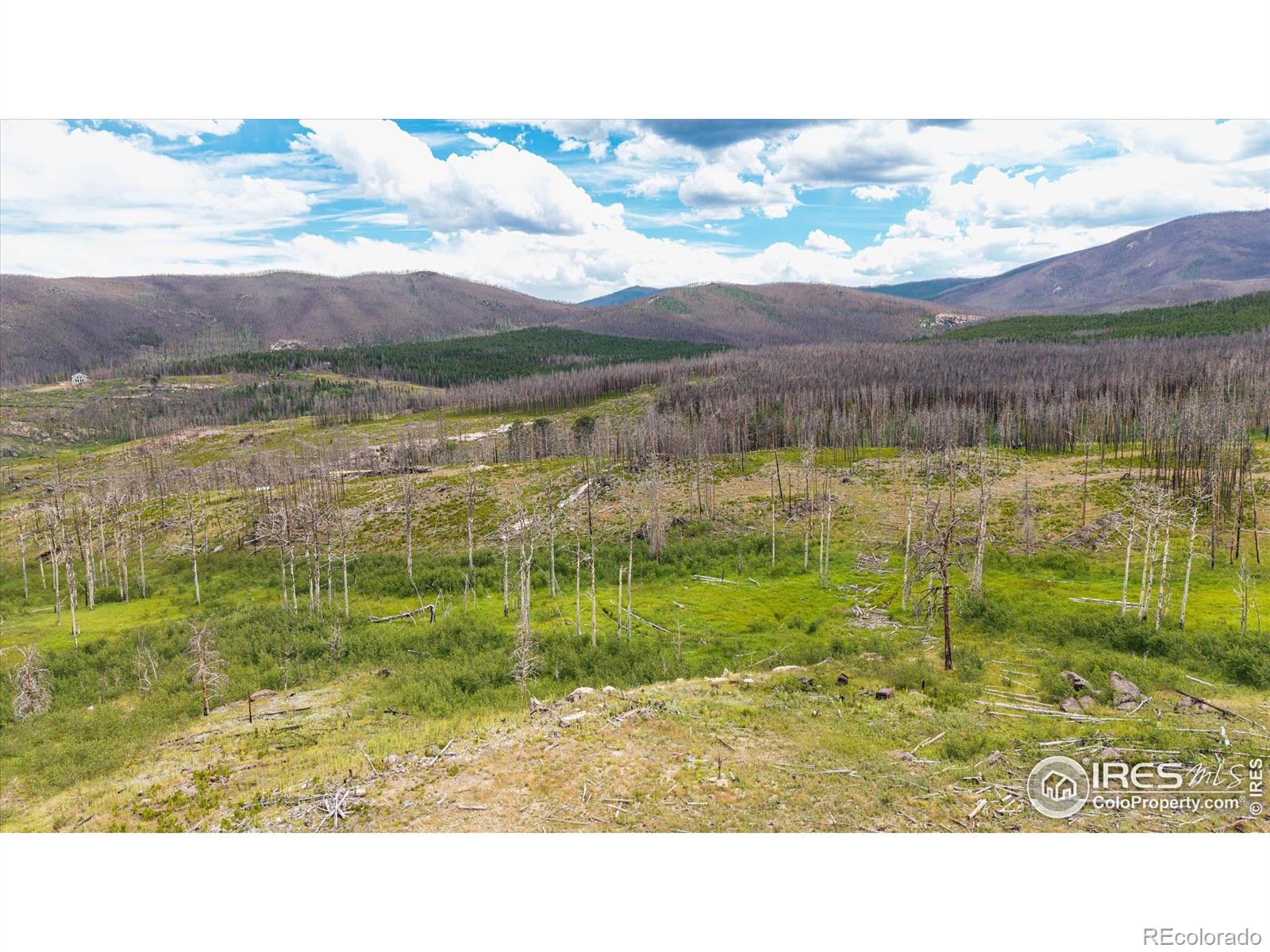529 Quartz Road Bellvue CO 80512