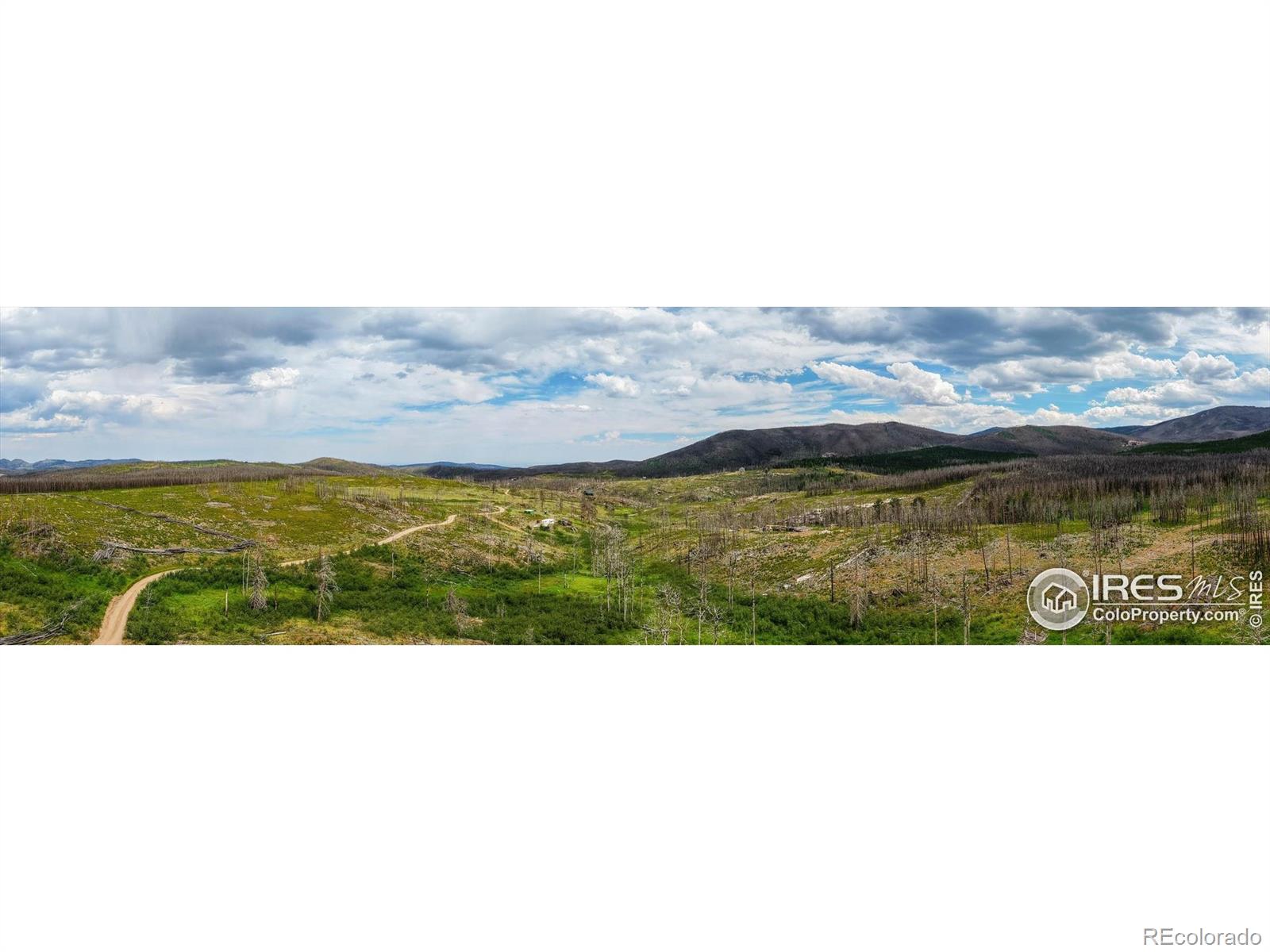 529 Quartz Road Bellvue CO 80512