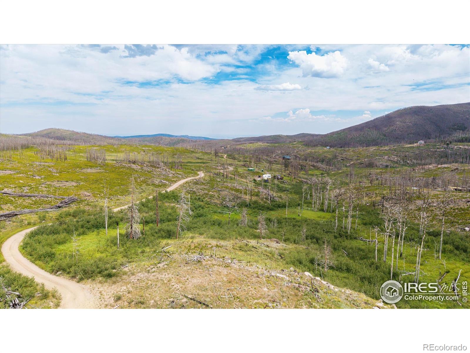 529 Quartz Road Bellvue CO 80512
