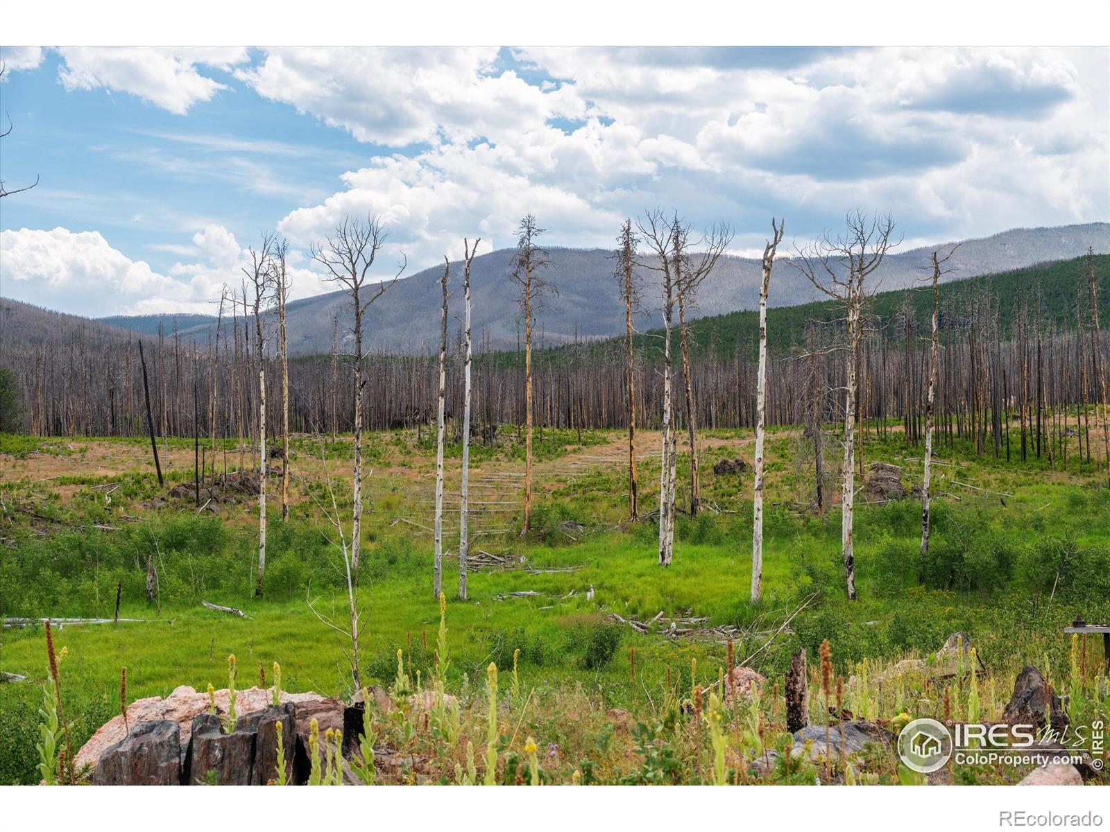 529 Quartz Road Bellvue CO 80512