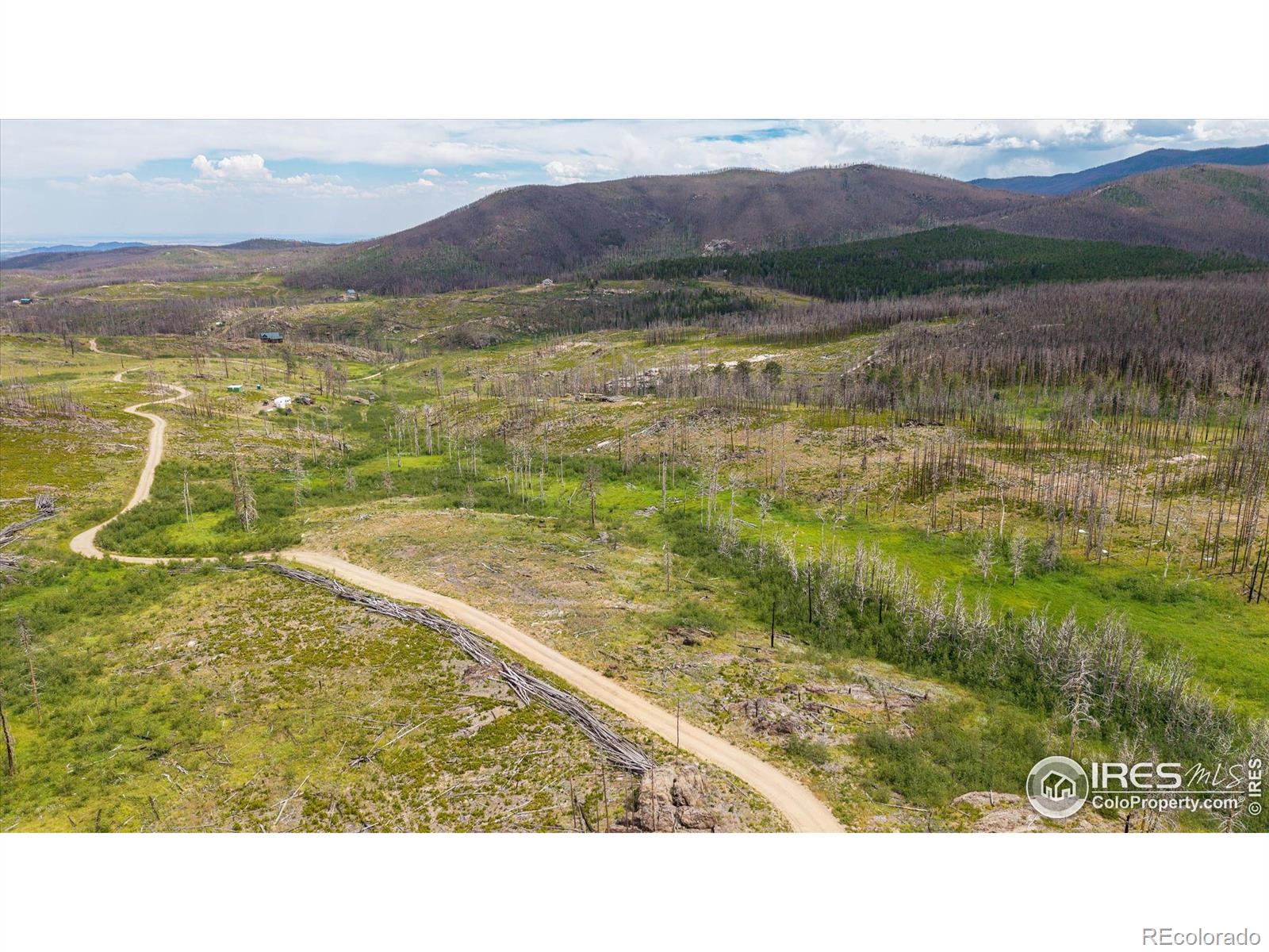 529 Quartz Road Bellvue CO 80512