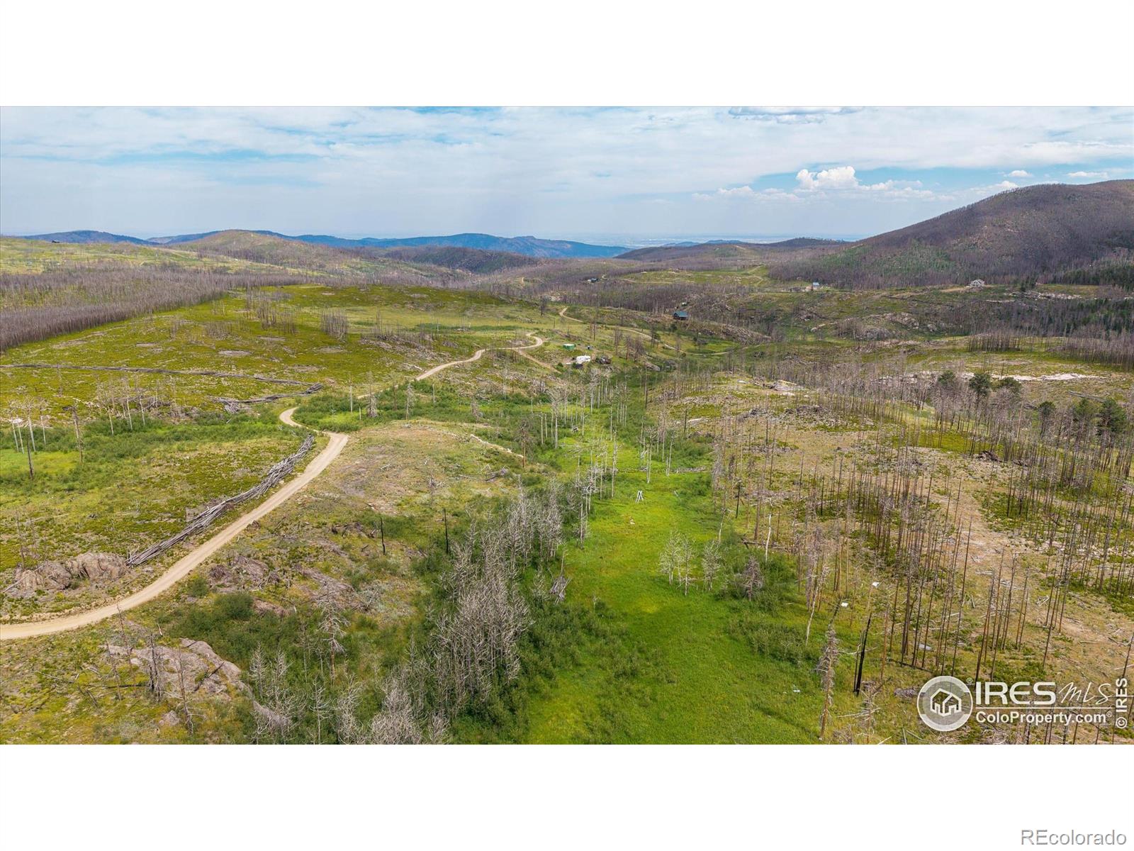 529 Quartz Road Bellvue CO 80512