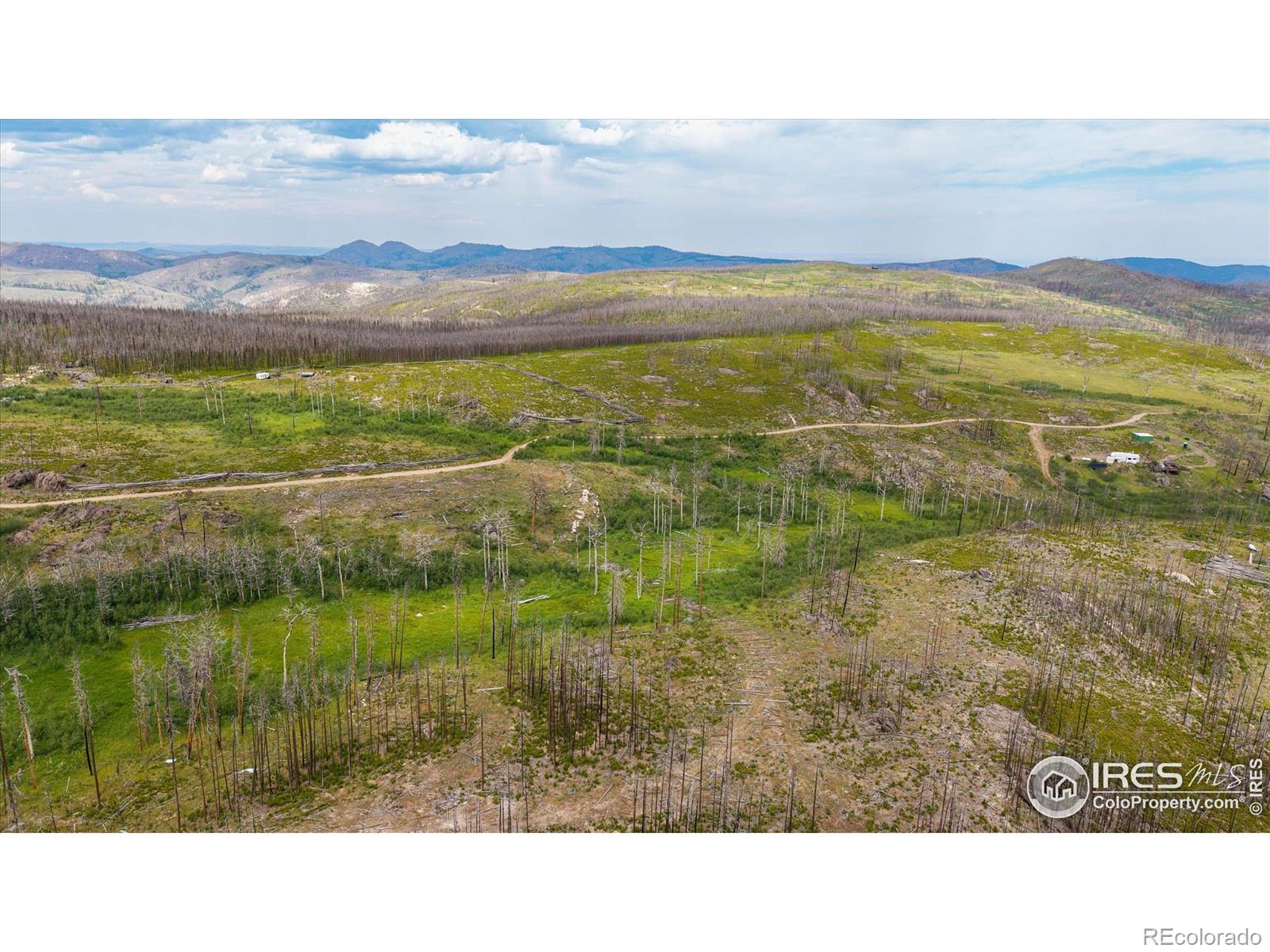 529 Quartz Road Bellvue CO 80512