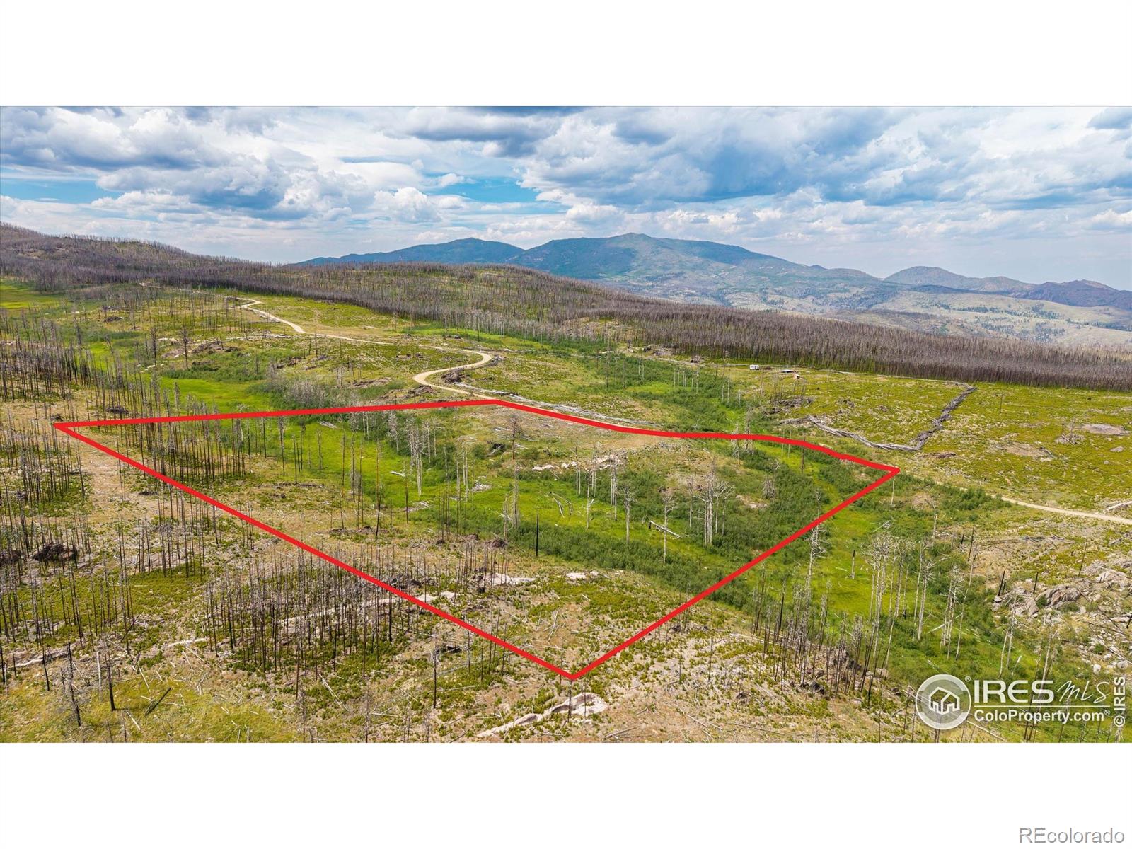 529 Quartz Road Bellvue CO 80512
