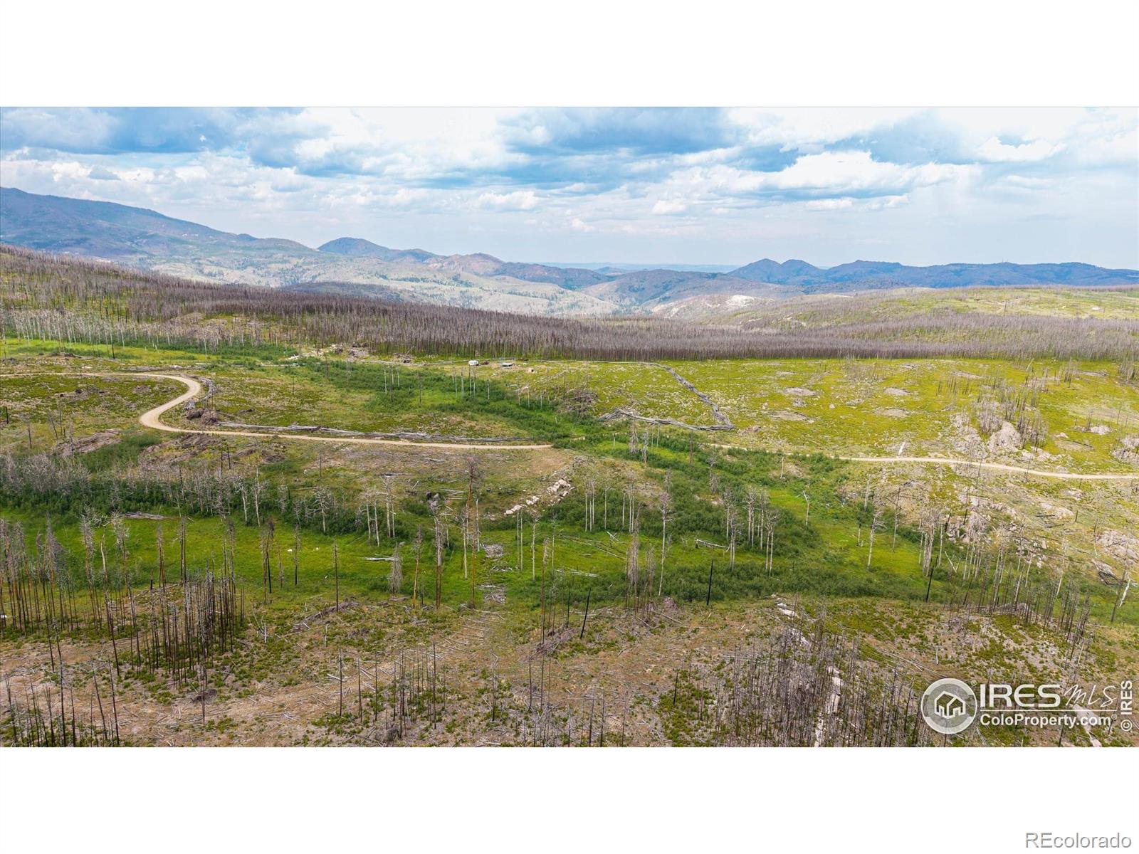 529 Quartz Road Bellvue CO 80512