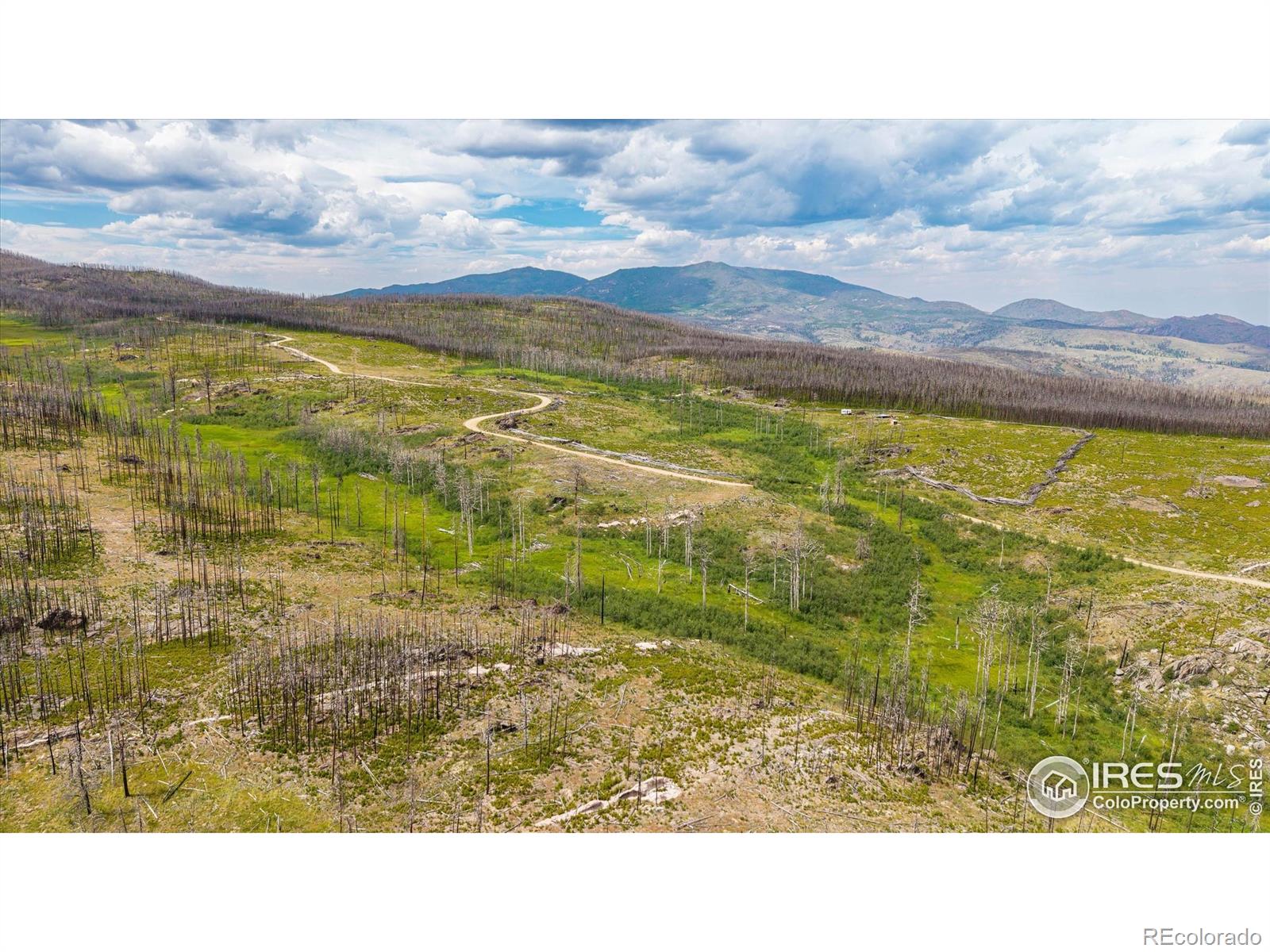 529 Quartz Road Bellvue CO 80512
