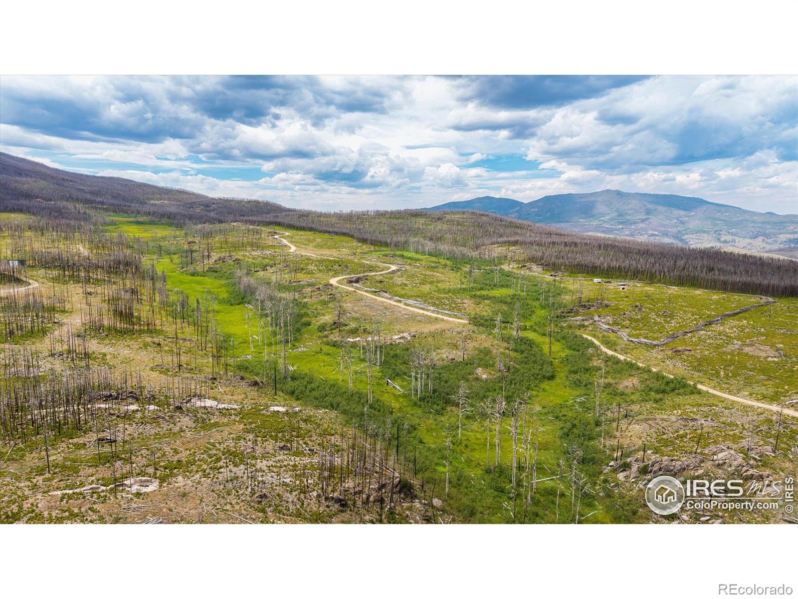 529 Quartz Road Bellvue CO 80512