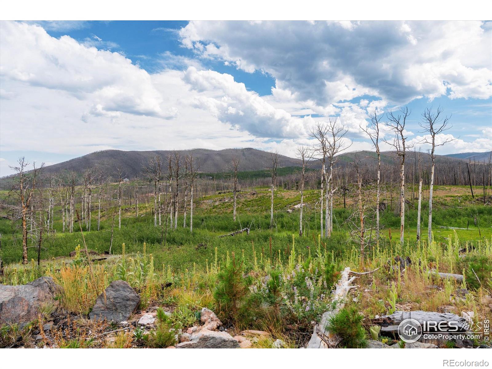 529 Quartz Road Bellvue CO 80512