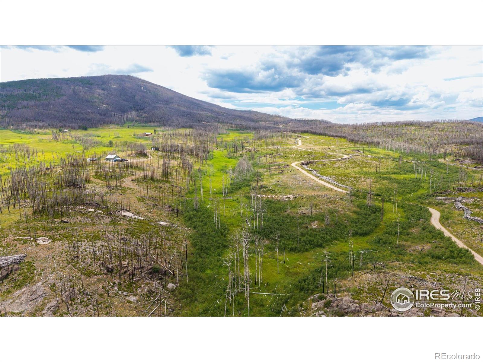 529 Quartz Road Bellvue CO 80512