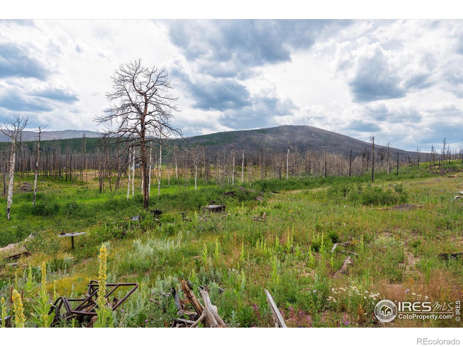 529 Quartz Road Bellvue CO 80512