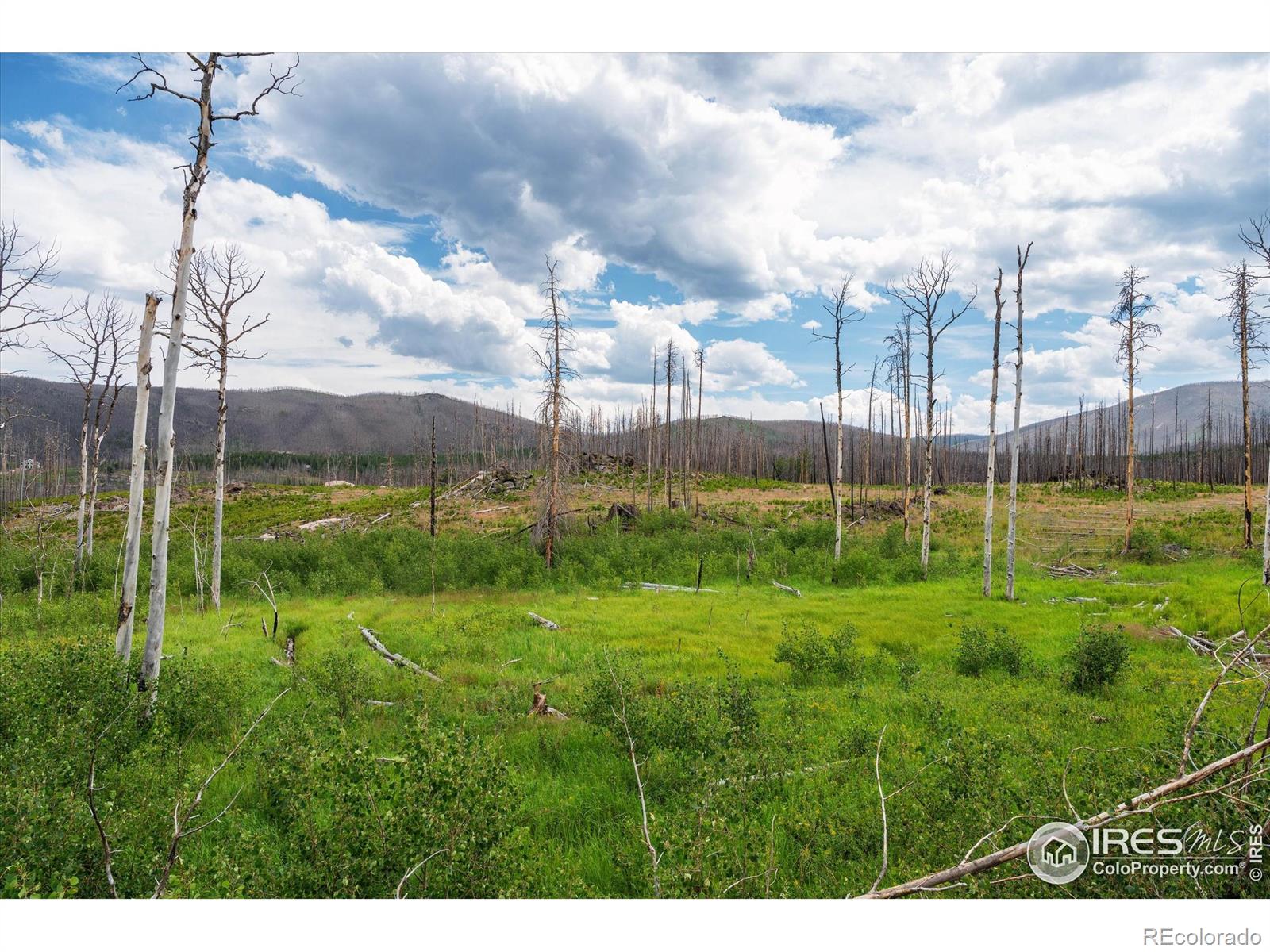 529 Quartz Road Bellvue CO 80512