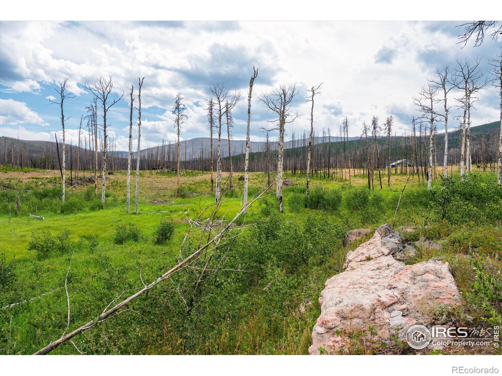 529 Quartz Road Bellvue CO 80512