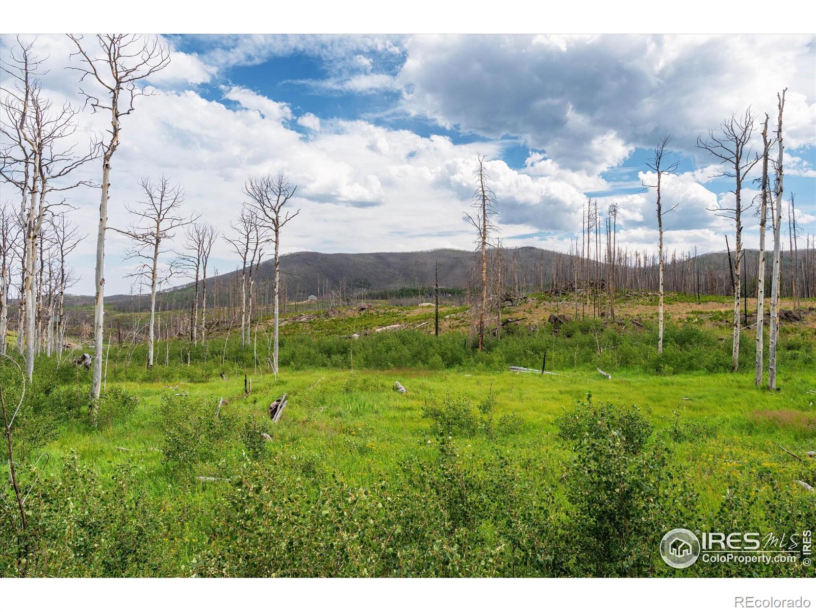 529 Quartz Road Bellvue CO 80512