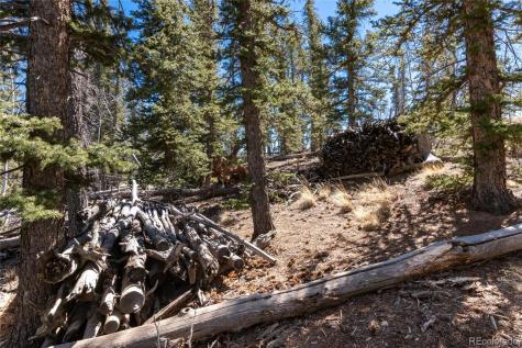 683 Latigo Loop Hartsel CO 80820