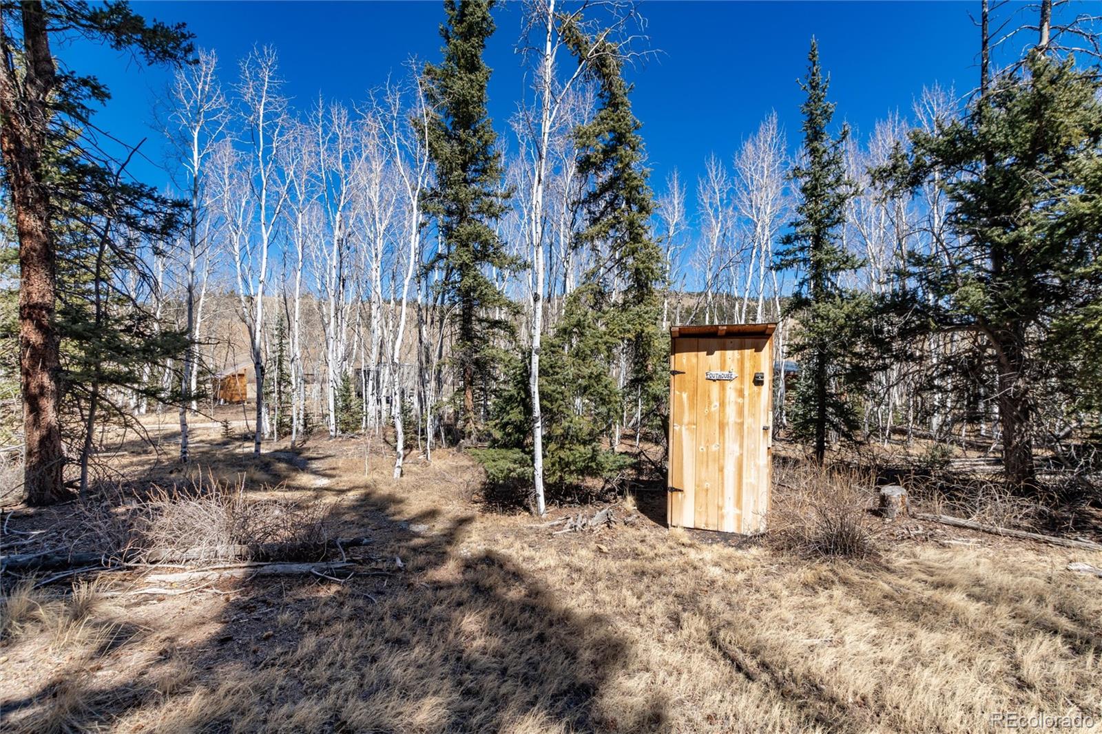 683 Latigo Loop Hartsel CO 80820