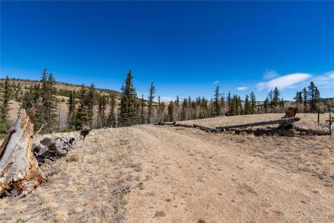 683 Latigo Loop Hartsel CO 80820