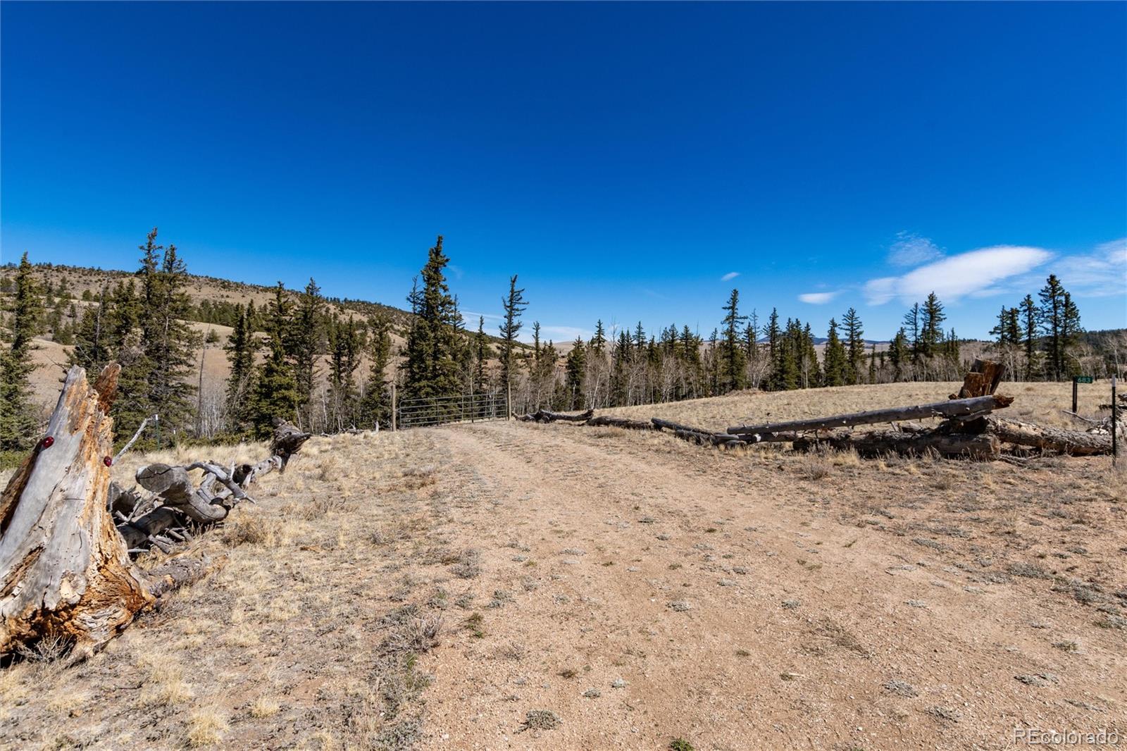 683 Latigo Loop Hartsel CO 80820