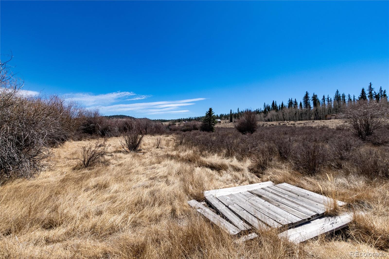 683 Latigo Loop Hartsel CO 80820