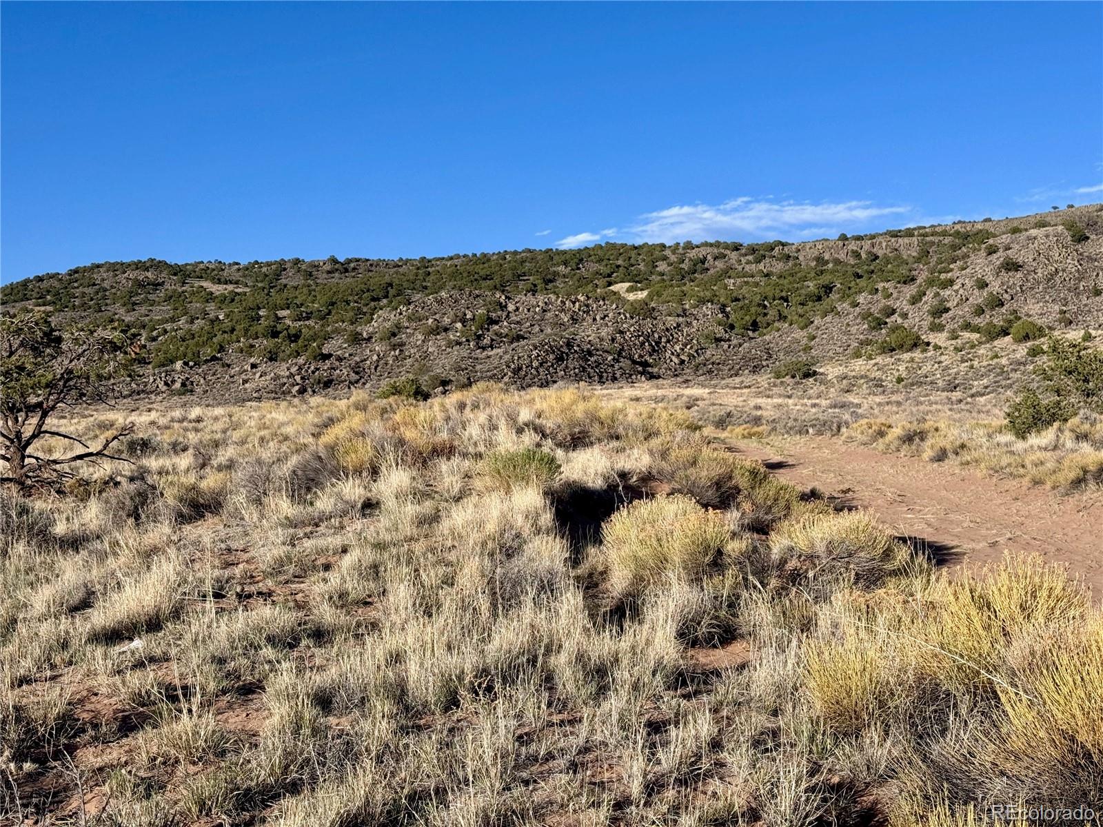 Lot 10 Calvary Trail San Luis CO 81152