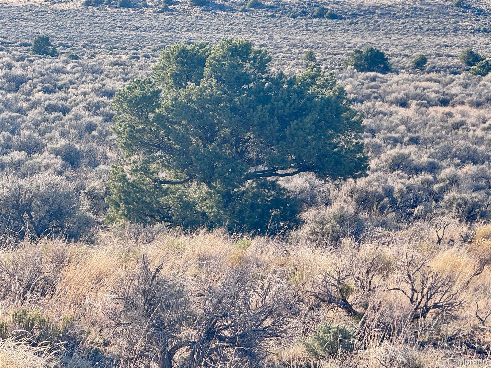Lot 10 Calvary Trail San Luis CO 81152