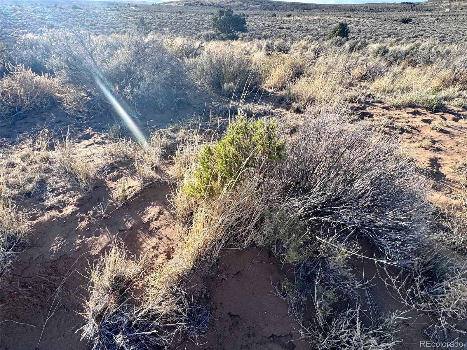 Lot 10 Calvary Trail San Luis CO 81152