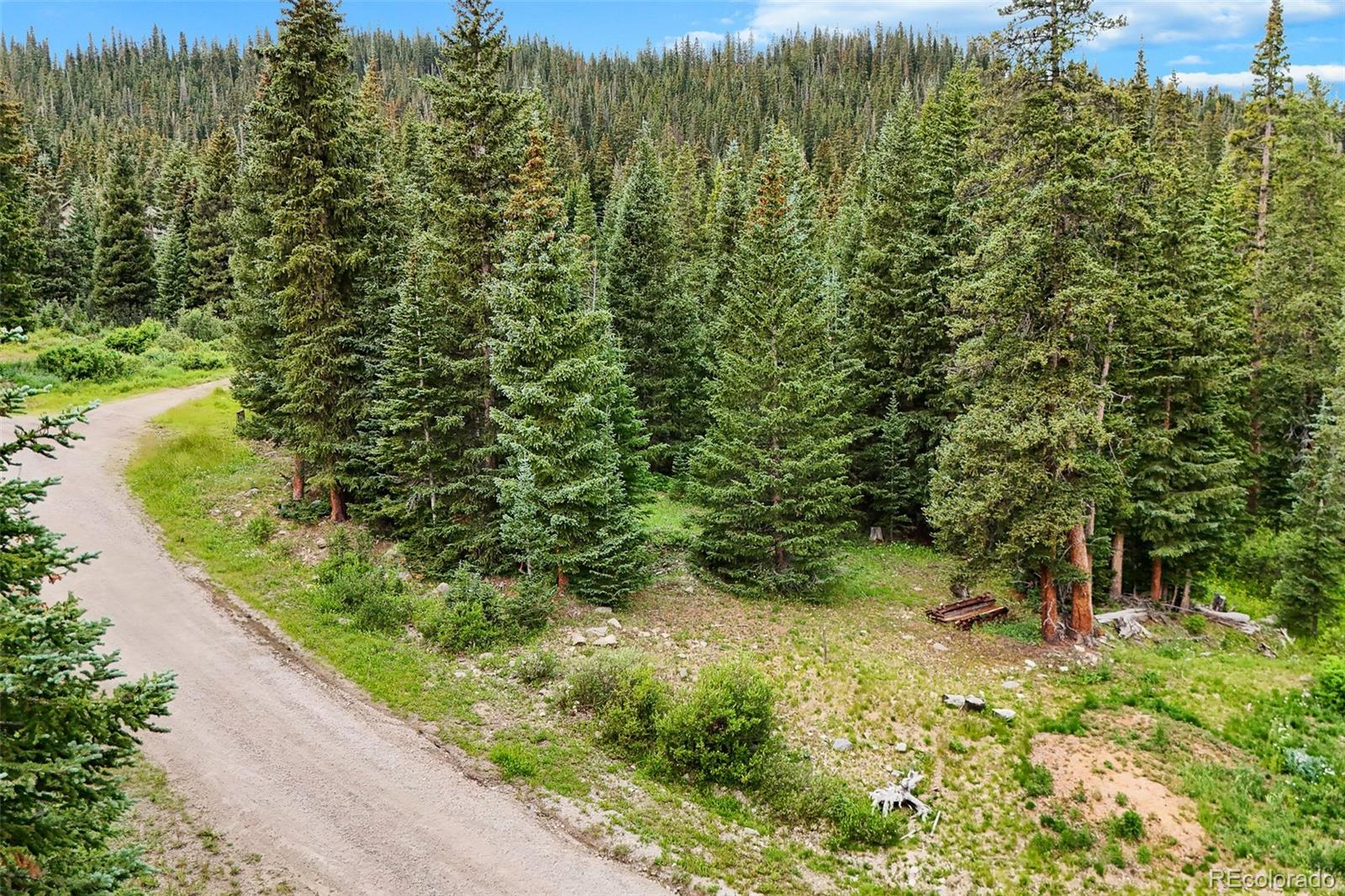 0057 County Road 675 Breckenridge CO 80424