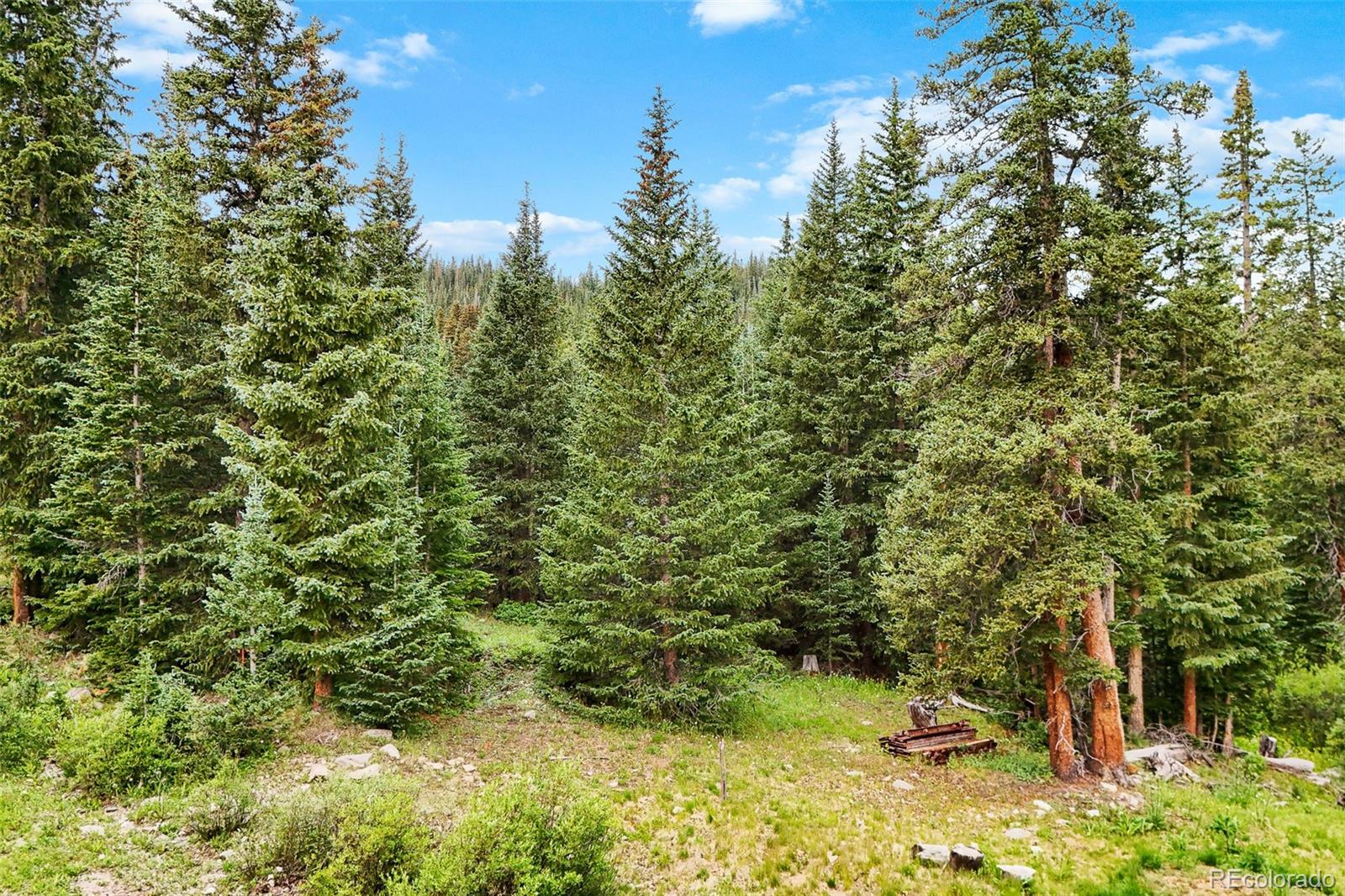 0057 County Road 675 Breckenridge CO 80424