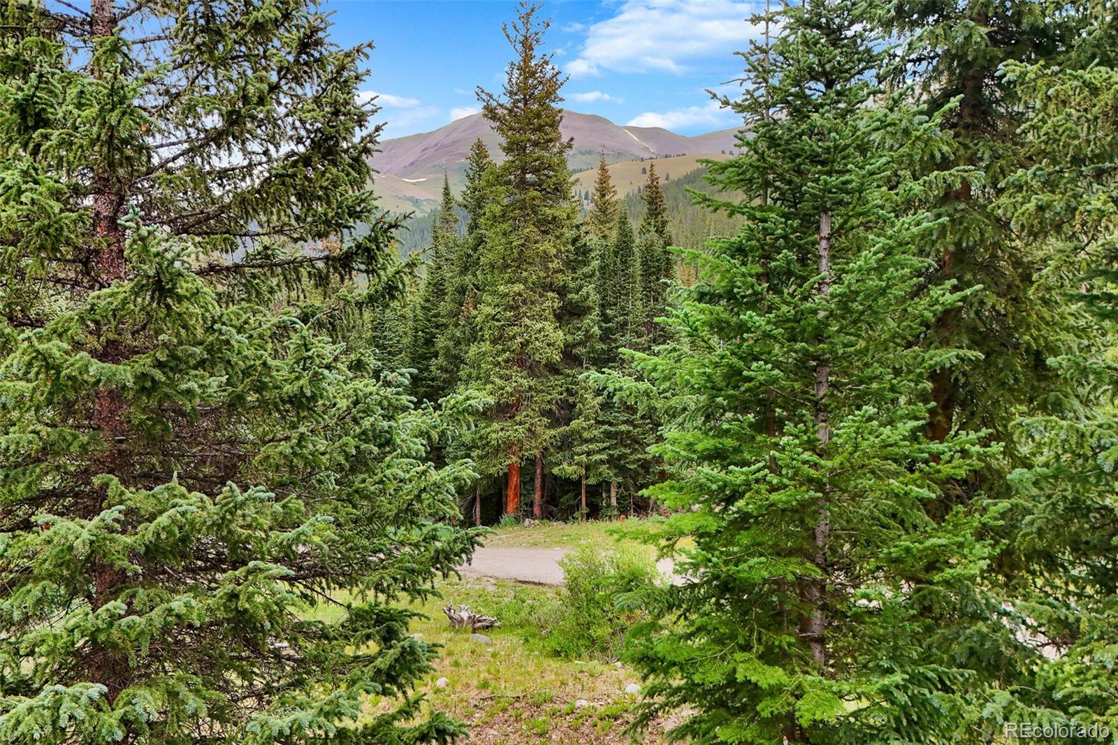 0057 County Road 675 Breckenridge CO 80424
