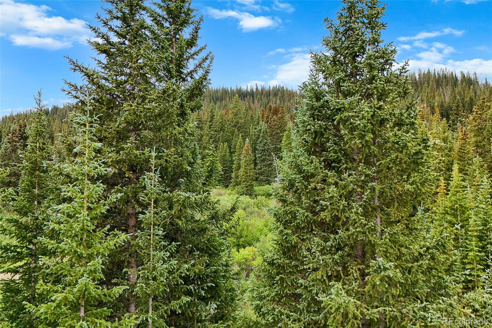 0057 County Road 675 Breckenridge CO 80424