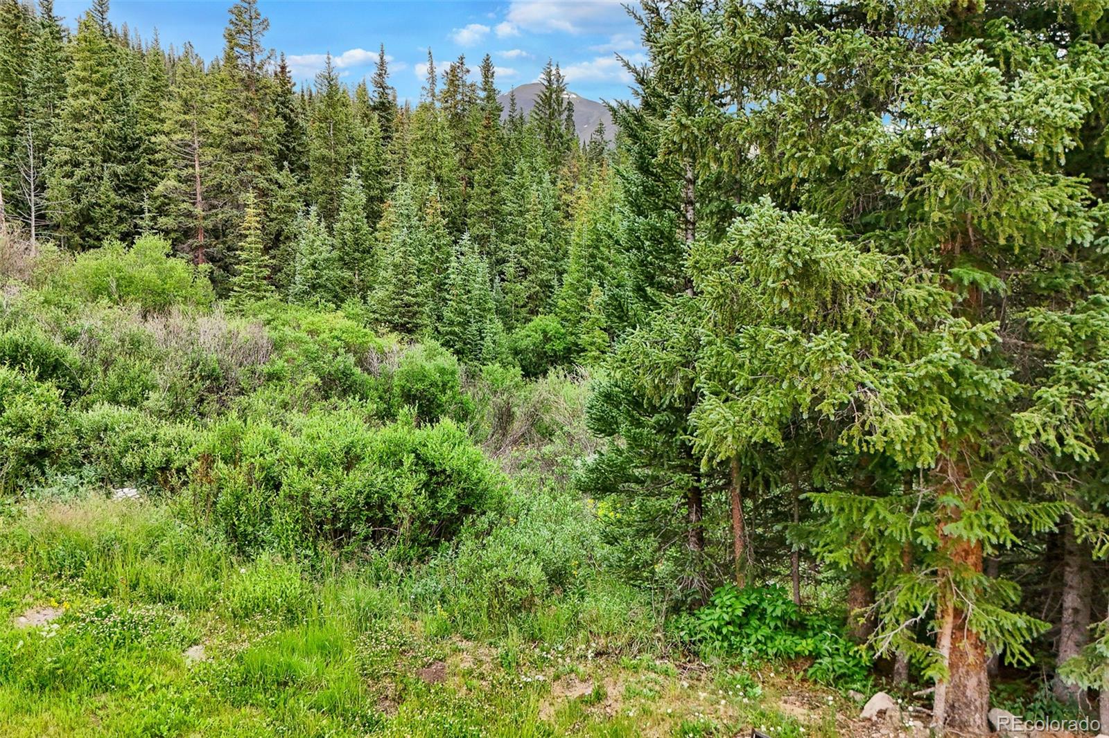 0057 County Road 675 Breckenridge CO 80424