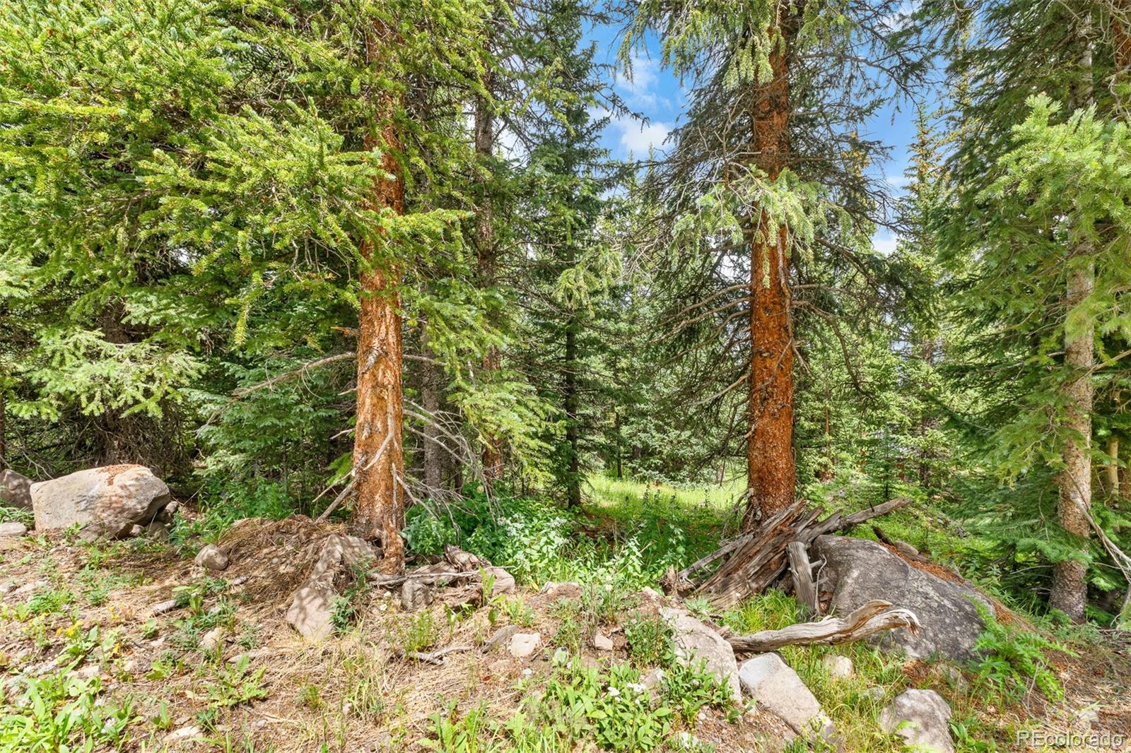 0057 County Road 675 Breckenridge CO 80424