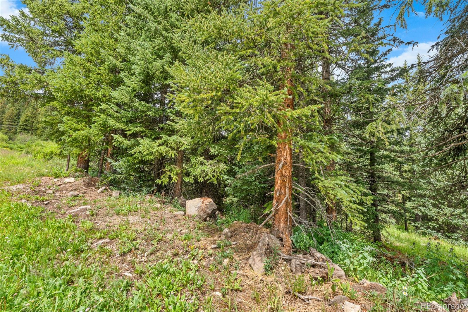 0057 County Road 675 Breckenridge CO 80424