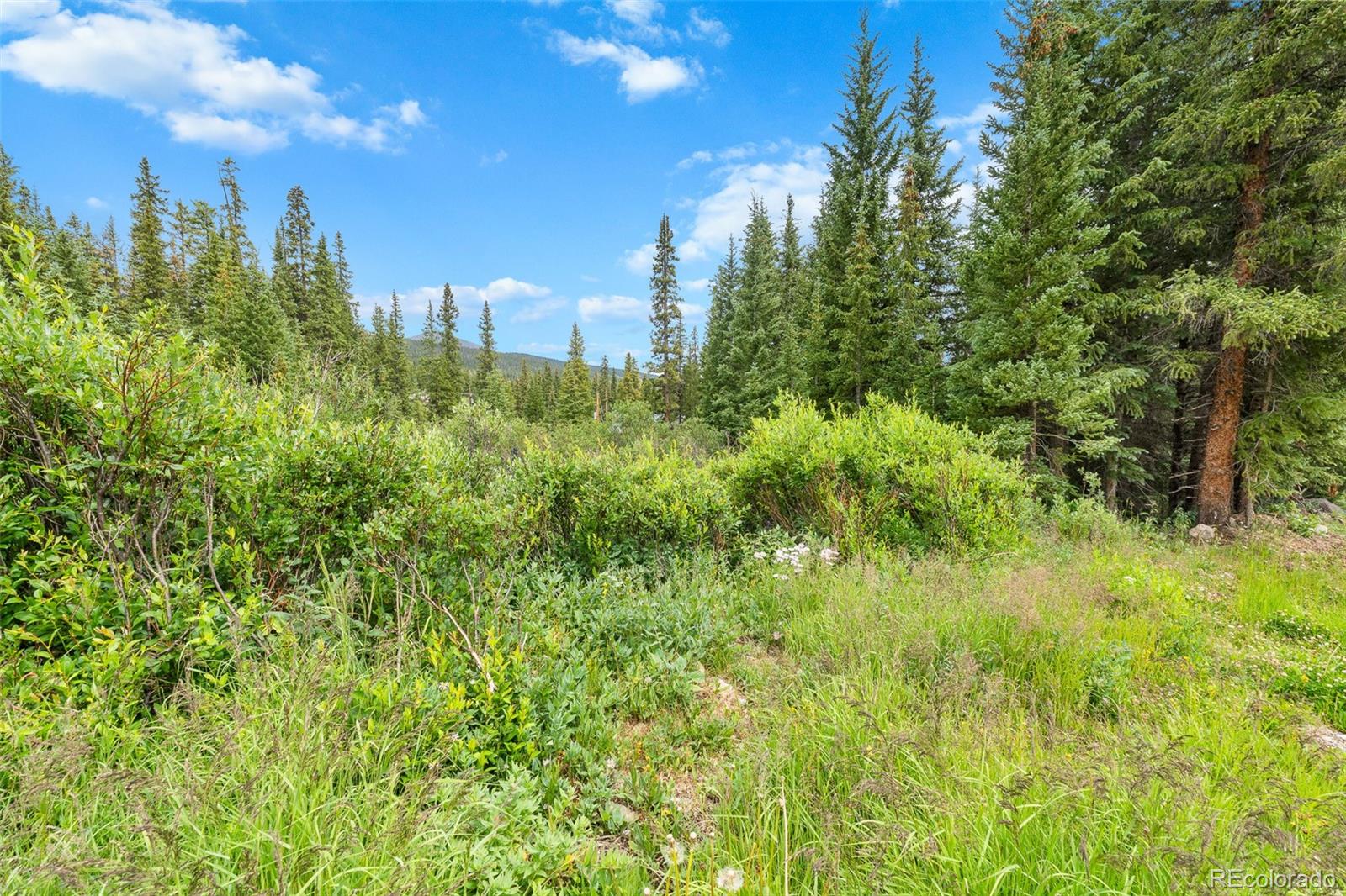 0057 County Road 675 Breckenridge CO 80424