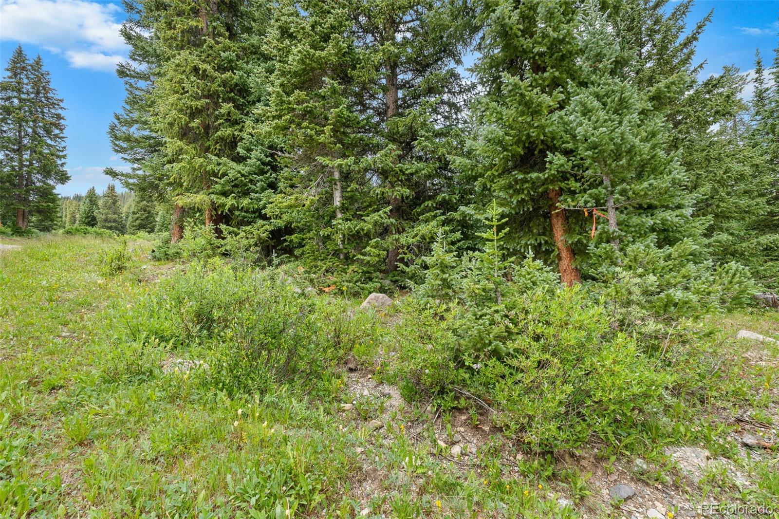 0057 County Road 675 Breckenridge CO 80424