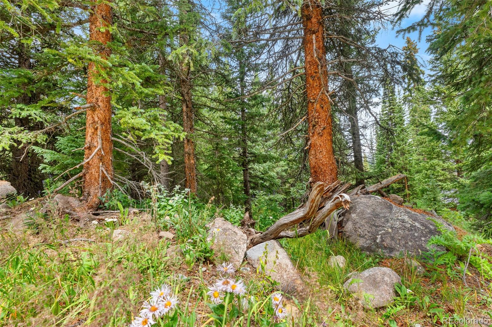 0057 County Road 675 Breckenridge CO 80424