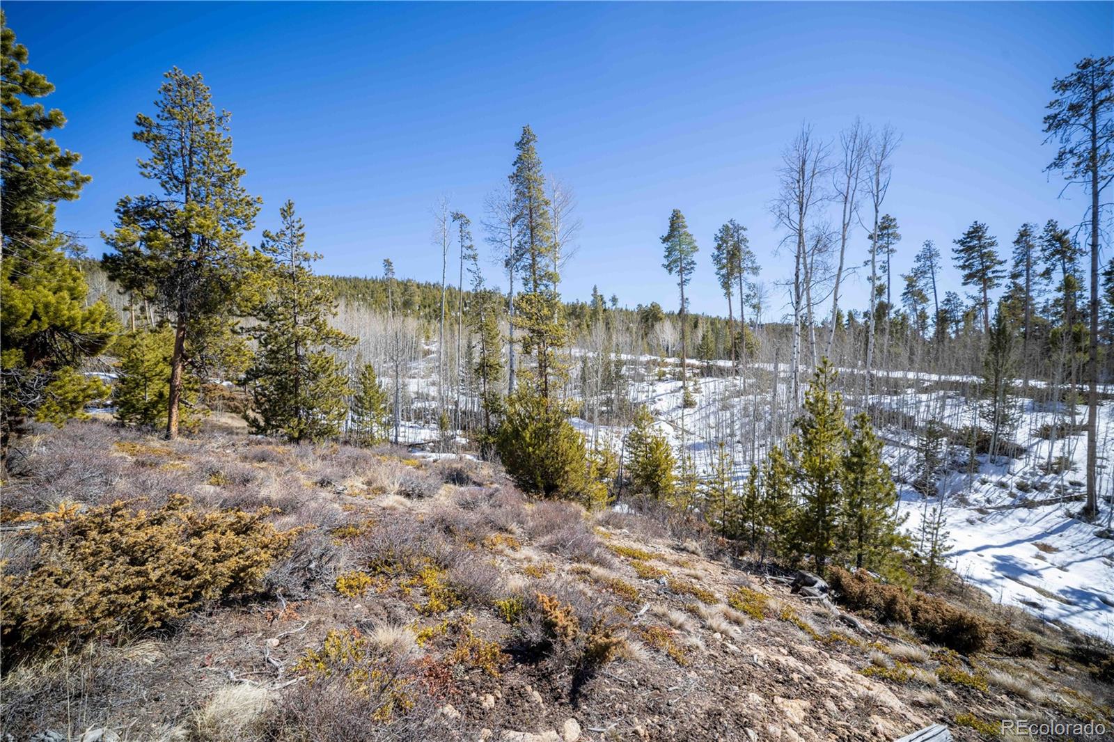 1384 Rocky Mountain Drive Grand Lake CO 80447
