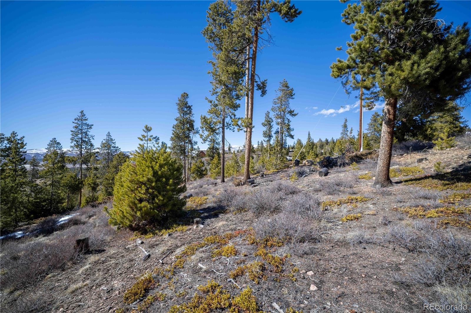 1384 Rocky Mountain Drive Grand Lake CO 80447