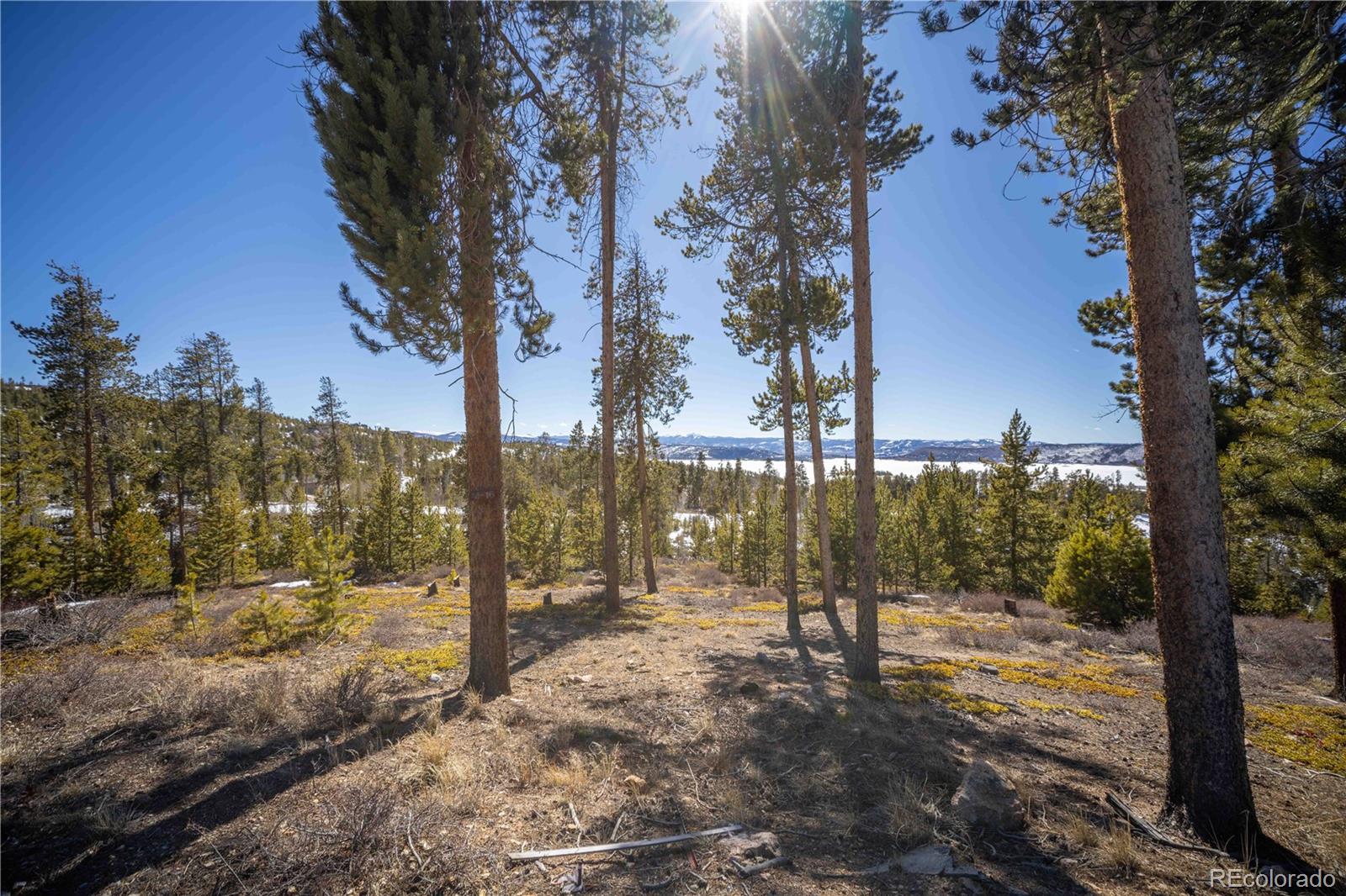 1384 Rocky Mountain Drive Grand Lake CO 80447