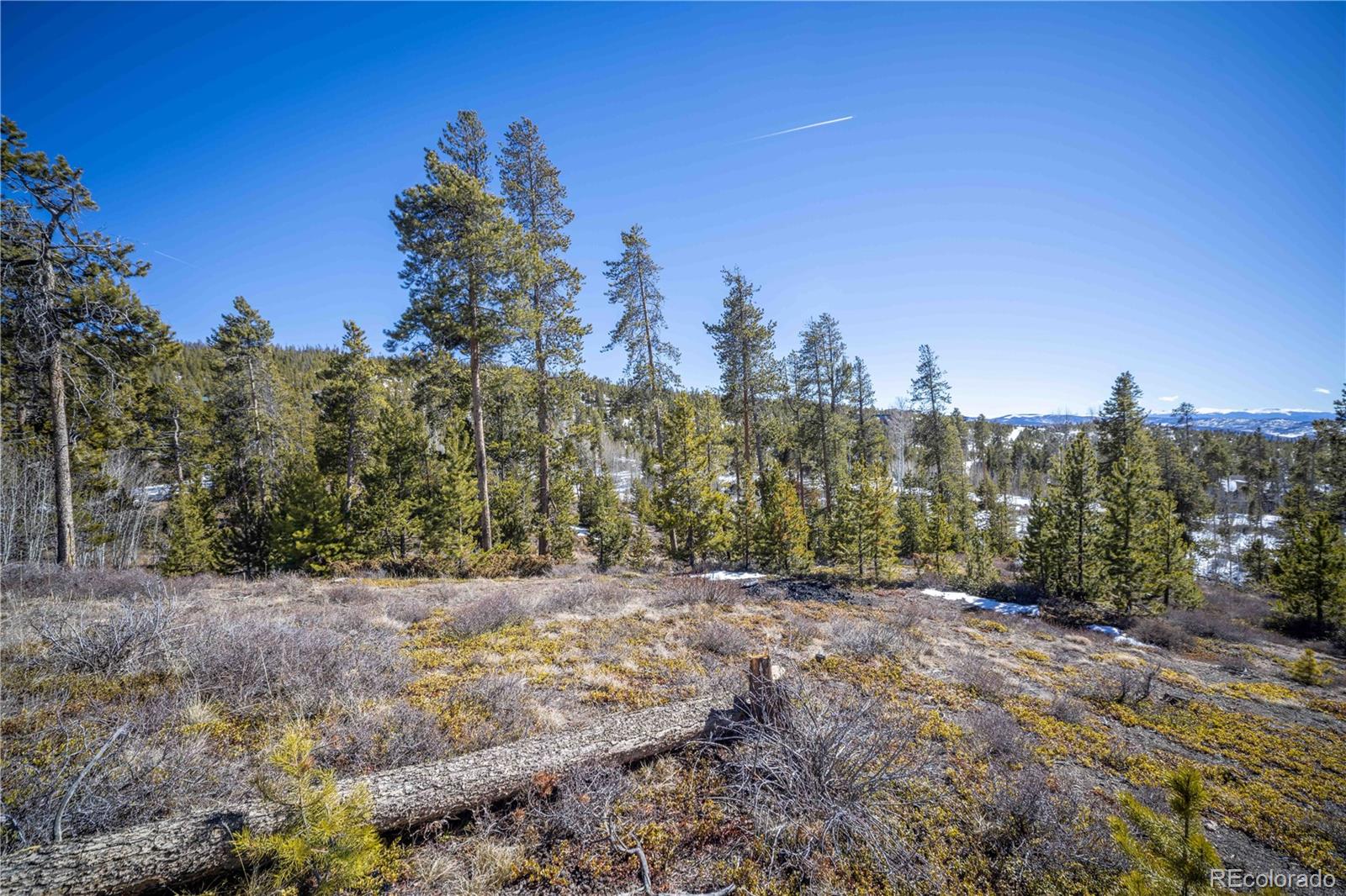 1384 Rocky Mountain Drive Grand Lake CO 80447