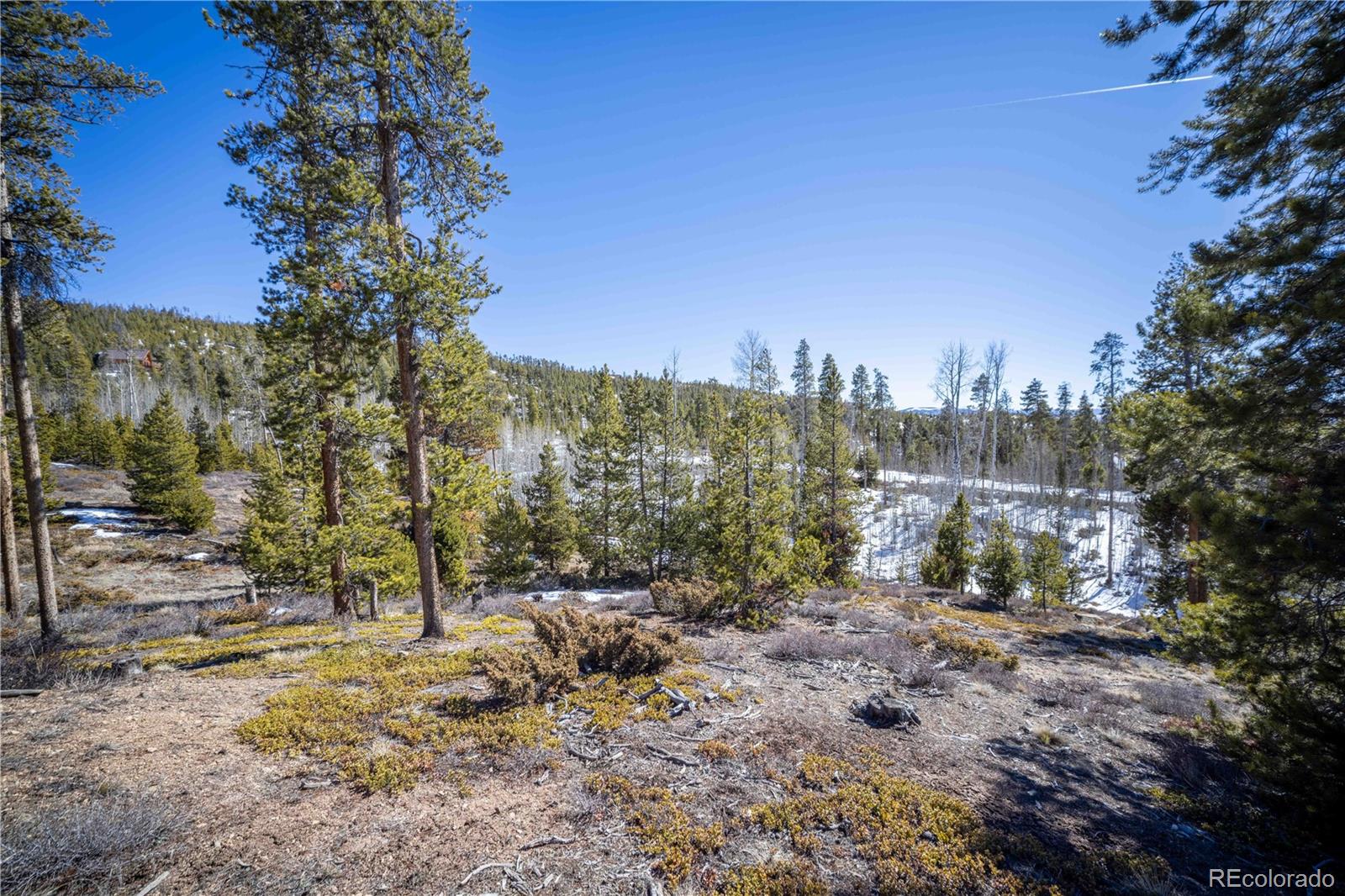 1384 Rocky Mountain Drive Grand Lake CO 80447
