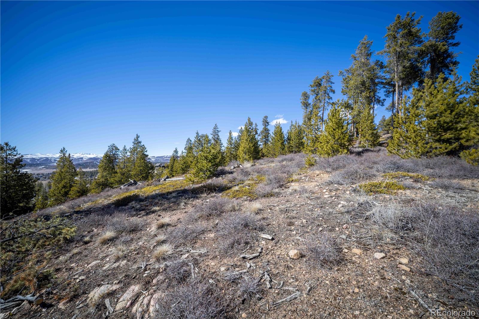 1384 Rocky Mountain Drive Grand Lake CO 80447