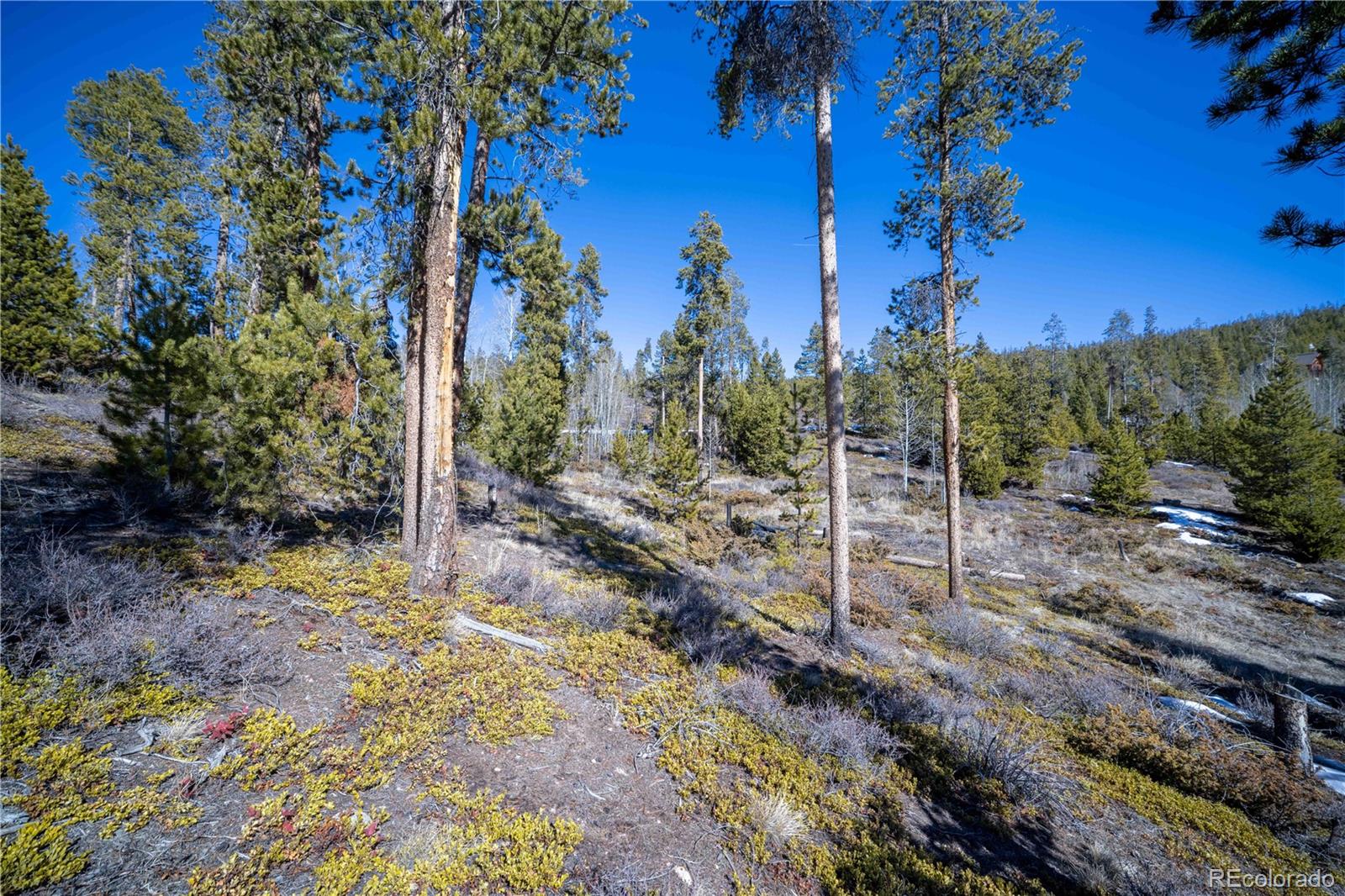 1384 Rocky Mountain Drive Grand Lake CO 80447